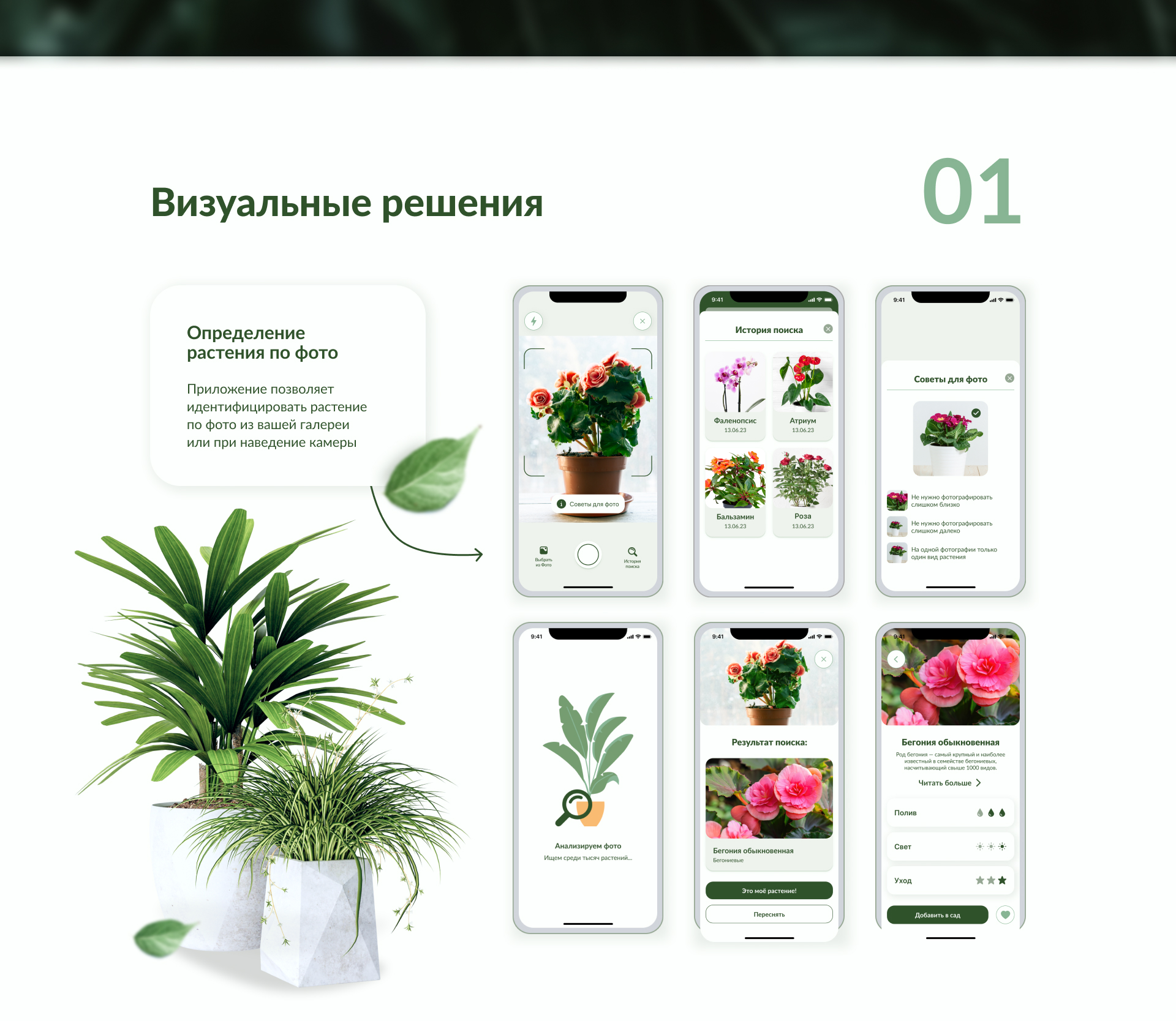 Plant Pal - мобильное приложение — Изображение №14 — Интерфейсы на Dprofile
