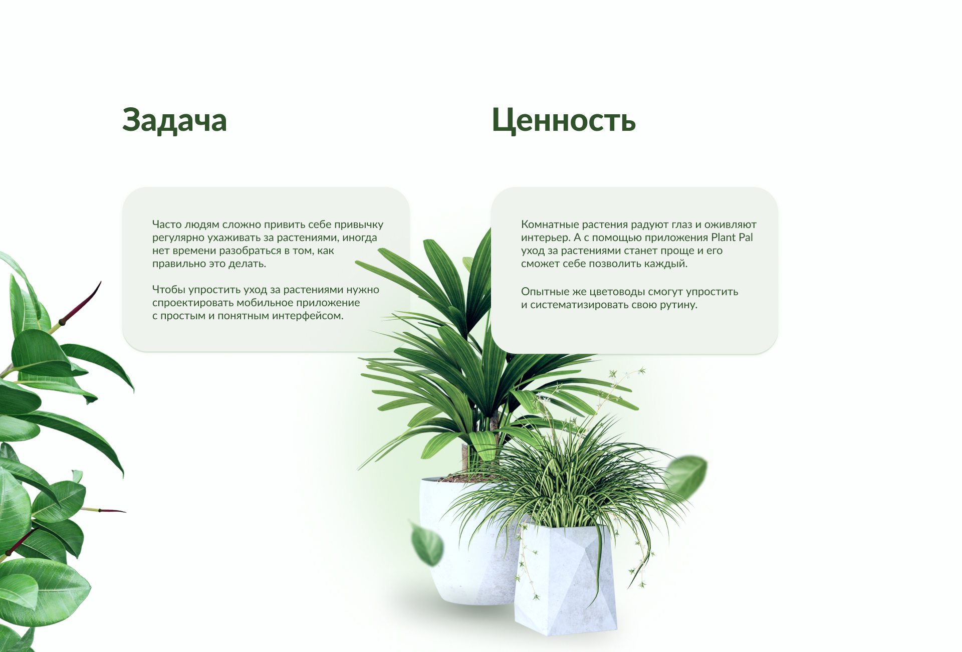 Plant Pal - мобильное приложение — Изображение №2 — Интерфейсы на Dprofile