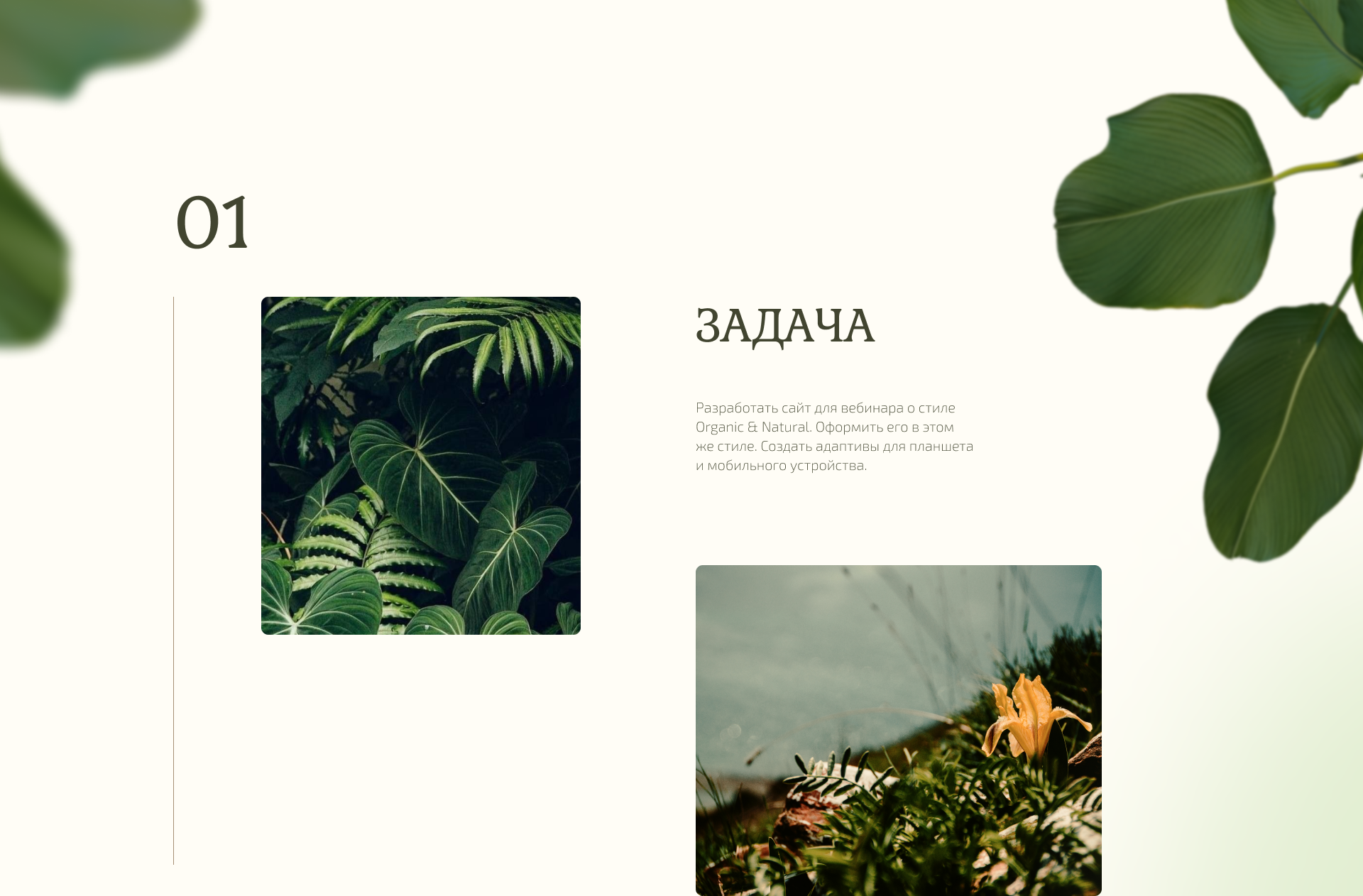 Сайт для вебинара — Изображение №2 — Интерфейсы на Dprofile