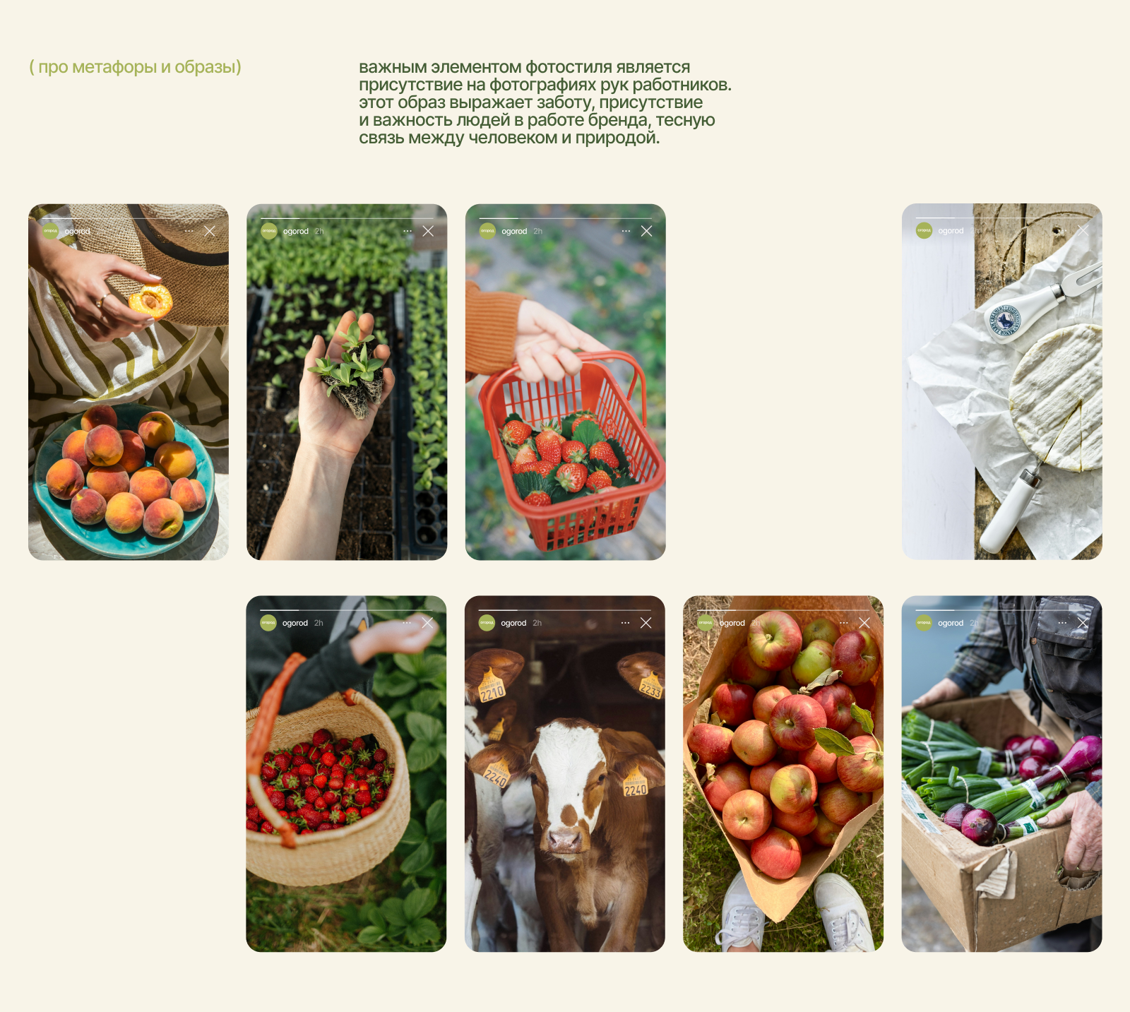 огород // ферма и маркет — Изображение №5 — Брендинг на Dprofile