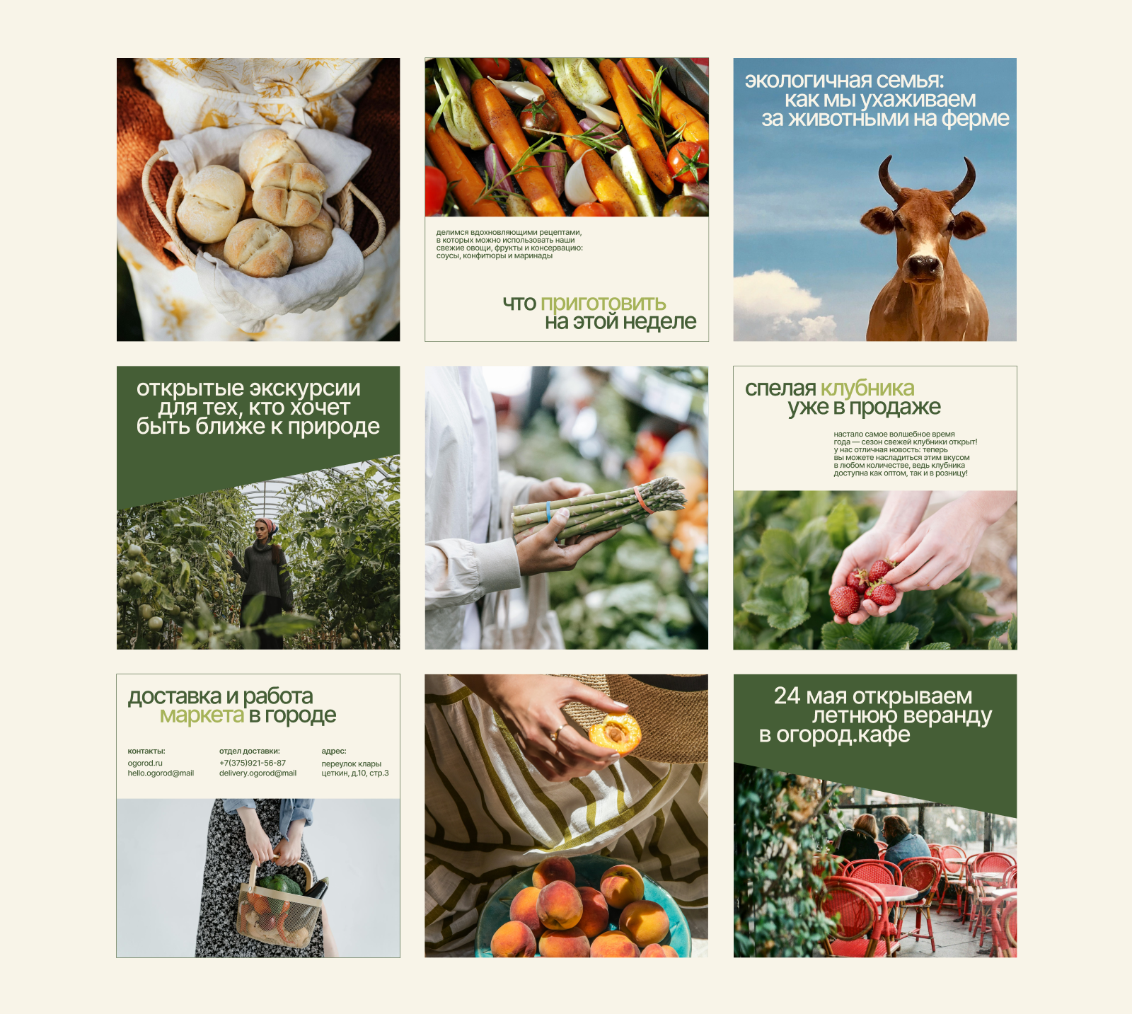 огород // ферма и маркет — Изображение №15 — Брендинг на Dprofile