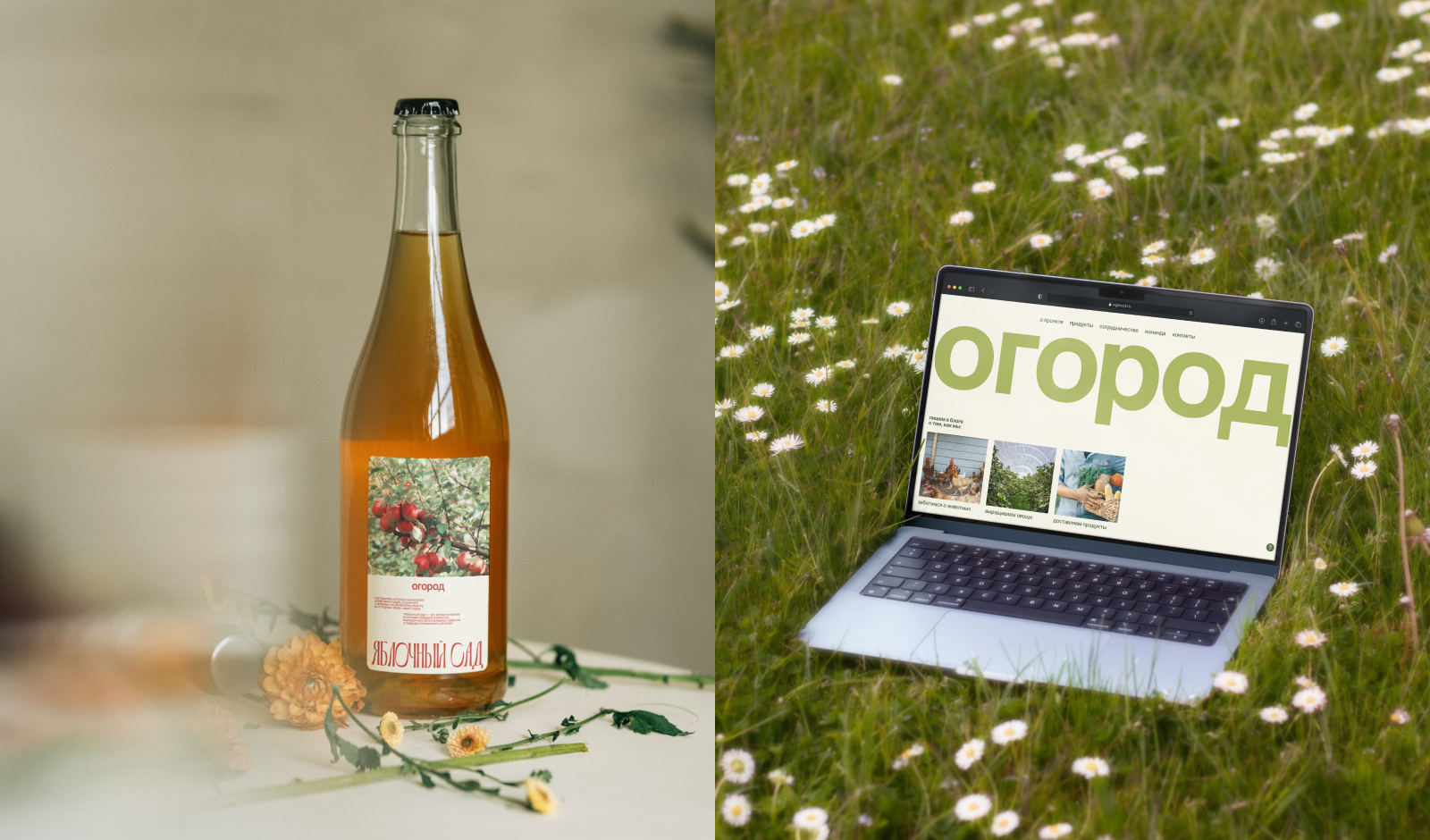 огород // ферма и маркет — Изображение №19 — Брендинг на Dprofile