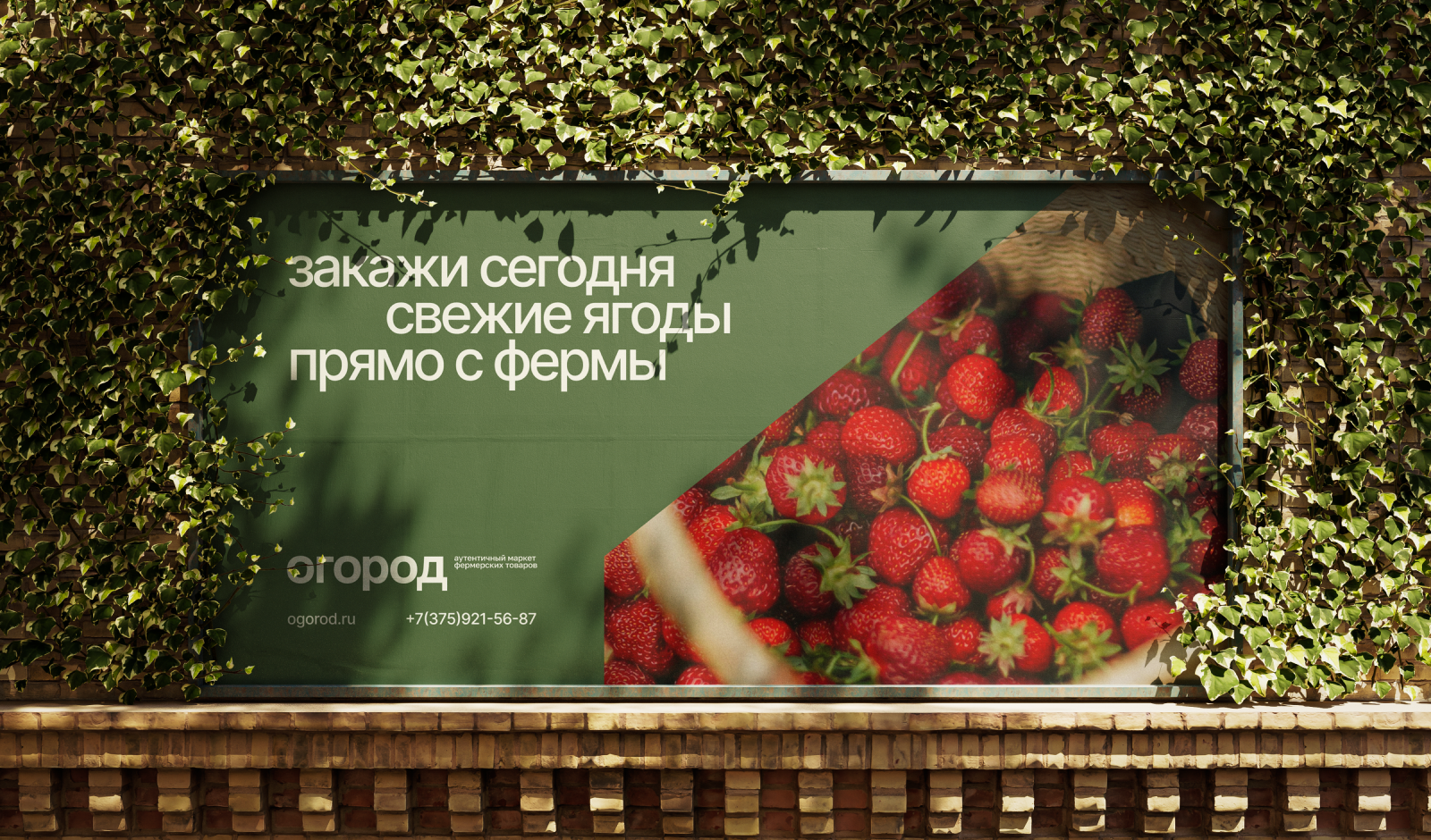 огород // ферма и маркет — Изображение №16 — Брендинг на Dprofile