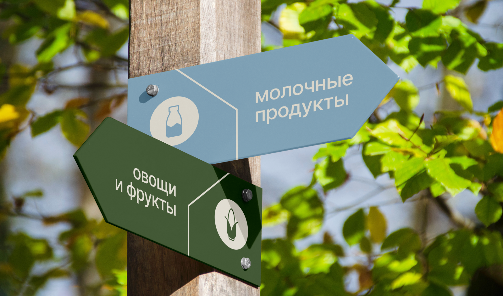 огород // ферма и маркет — Изображение №11 — Брендинг на Dprofile