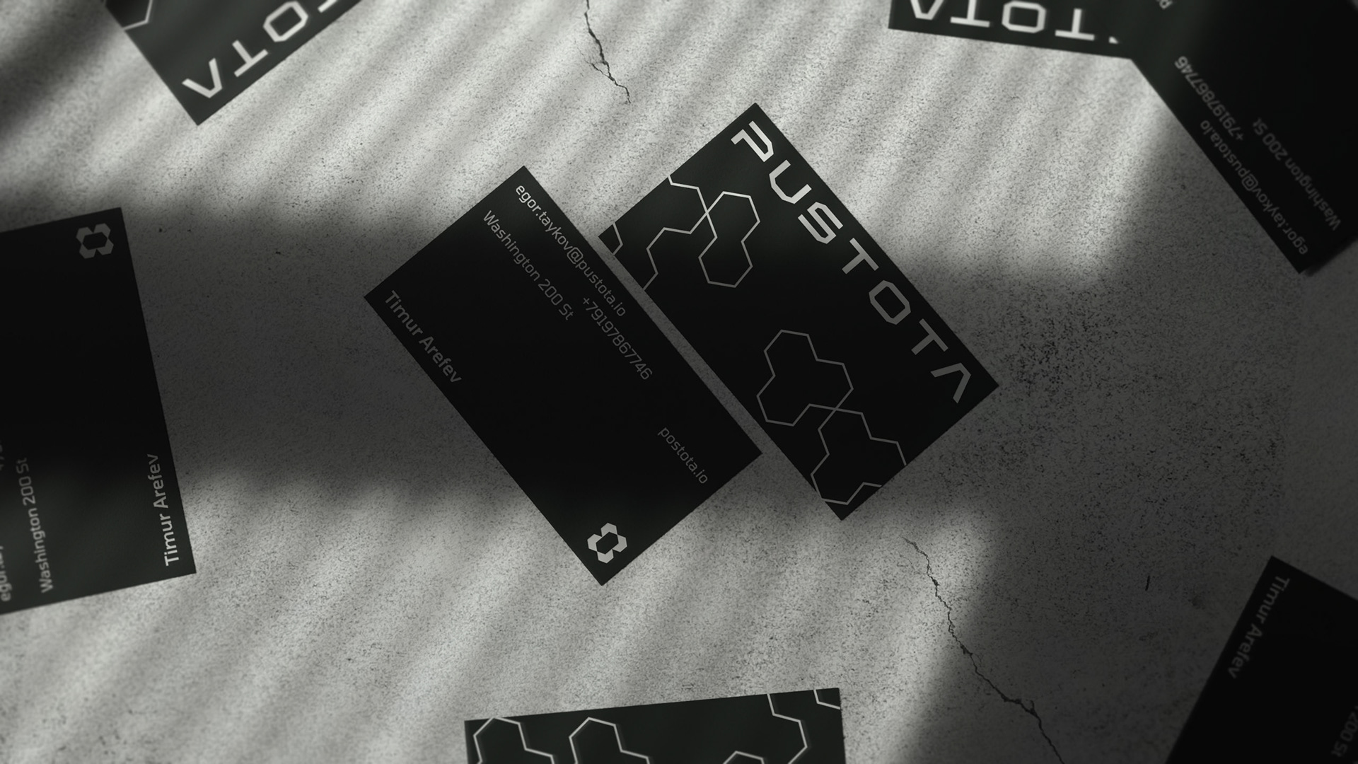 PUSTOTA — Изображение №11 — Брендинг, Анимация на Dprofile