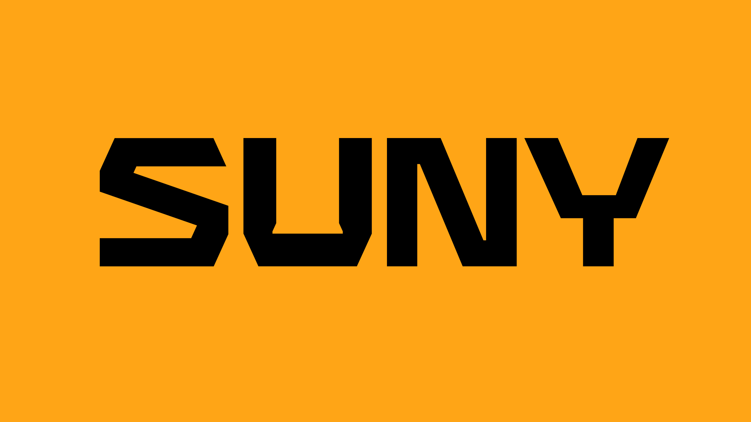 SUNY — Изображение №1 — Брендинг на Dprofile