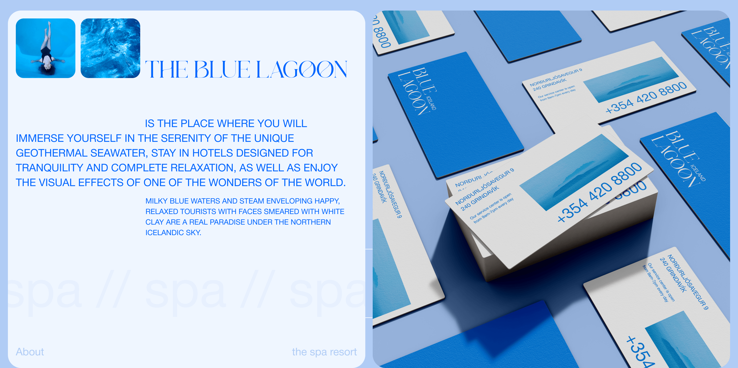 BLUE LAGOON I Landing Page — Изображение №2 — Интерфейсы на Dprofile