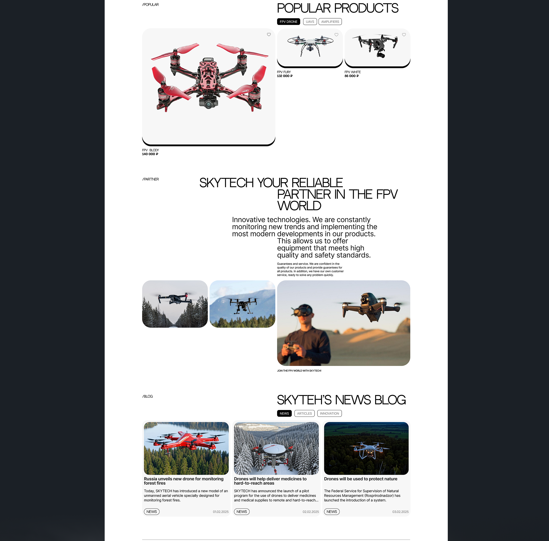SKYTECH | ONLINE STORE — Изображение №4 — Интерфейсы на Dprofile