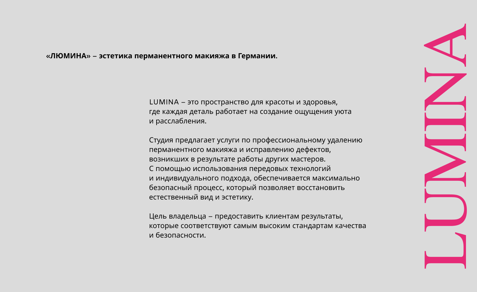 Lumina – студия перманентного макияжа — Изображение №2 — Брендинг, Графика на Dprofile