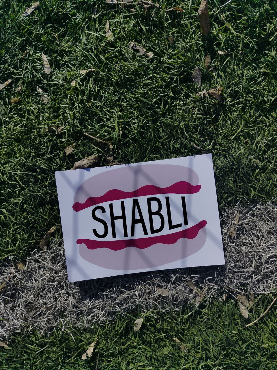 логотип SHABLI — Изображение №2 — Иллюстрация на Dprofile