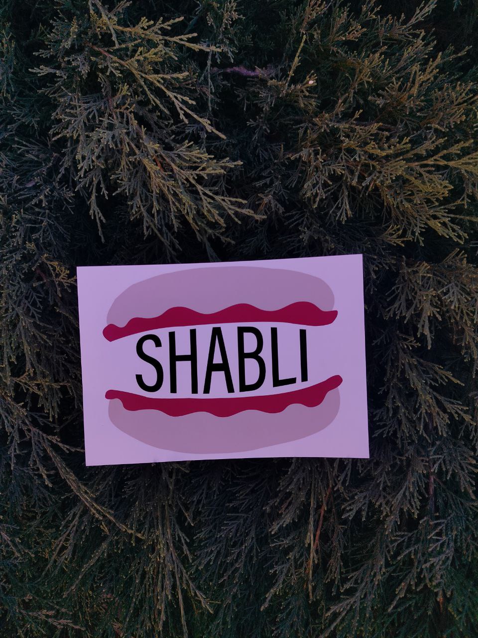 логотип SHABLI — Изображение №3 — Иллюстрация на Dprofile