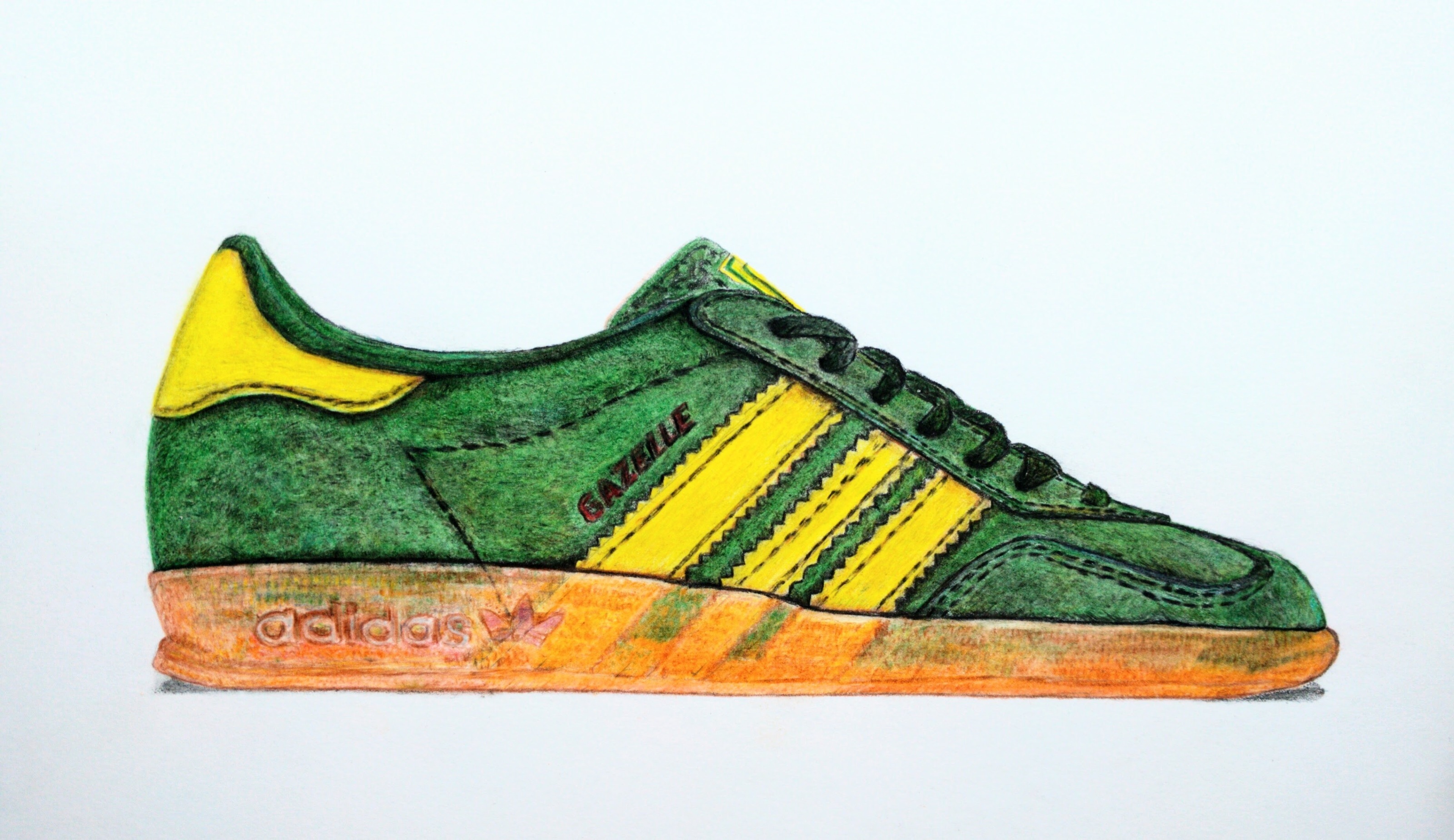 Иллюстрация. Кроссовок "Adidas". Цветные карандаши, бумага. — Изображение №1 — Иллюстрация на Dprofile