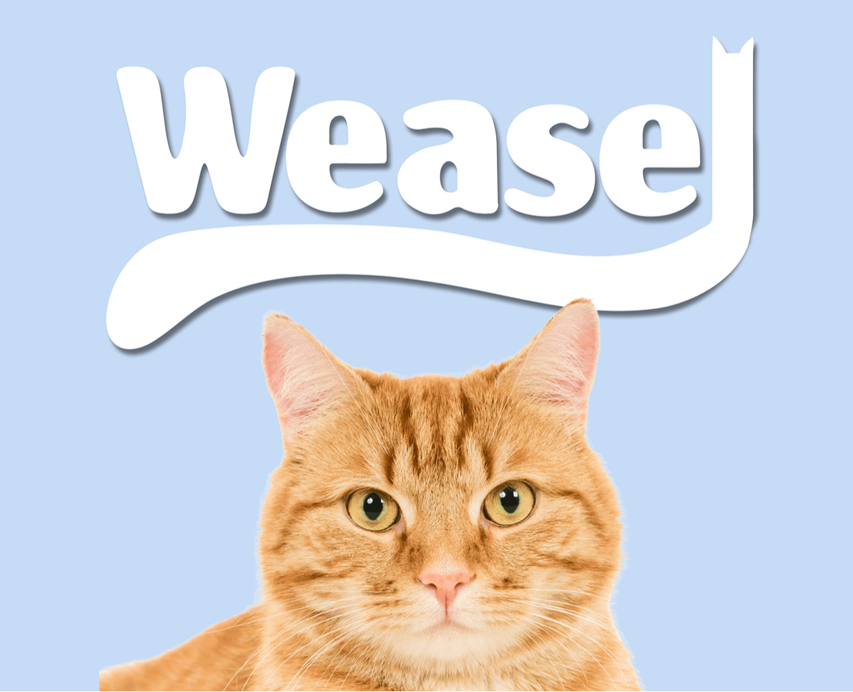 Weasel - cat food — Брендинг на Dprofile