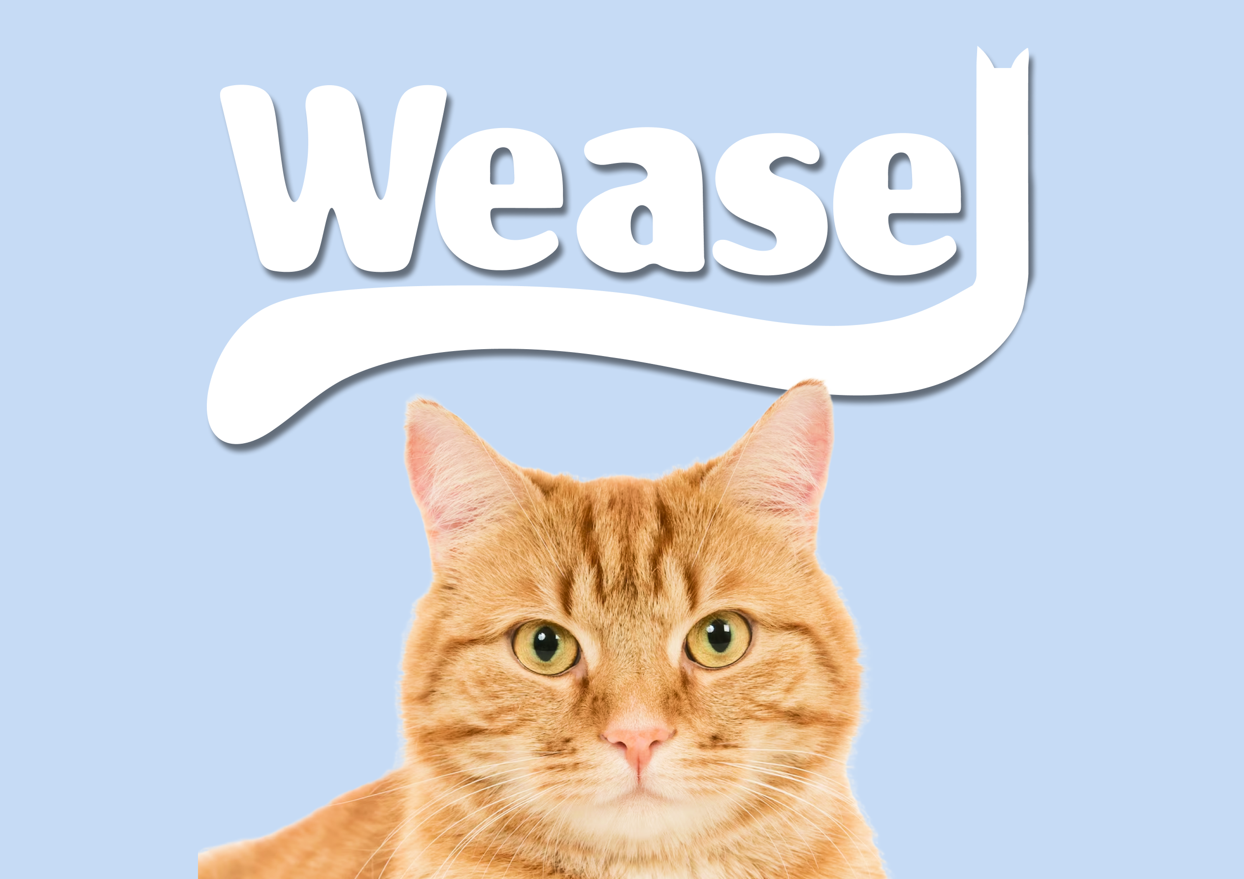 Weasel - cat food — Изображение №1 — Брендинг на Dprofile