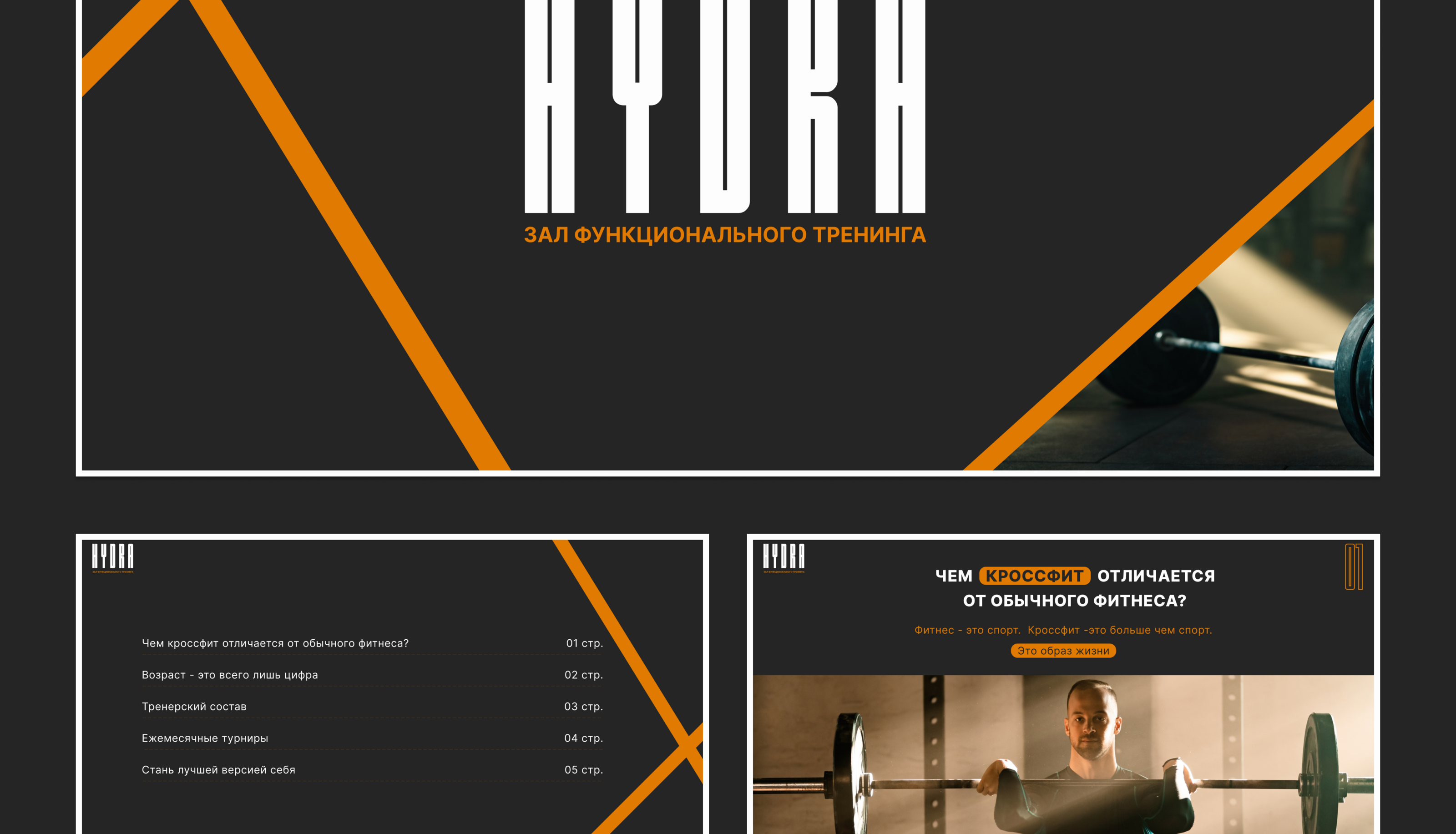 Презентация зала функционального тренинга HYDRA — Изображение №4 — Брендинг, Маркетинг на Dprofile