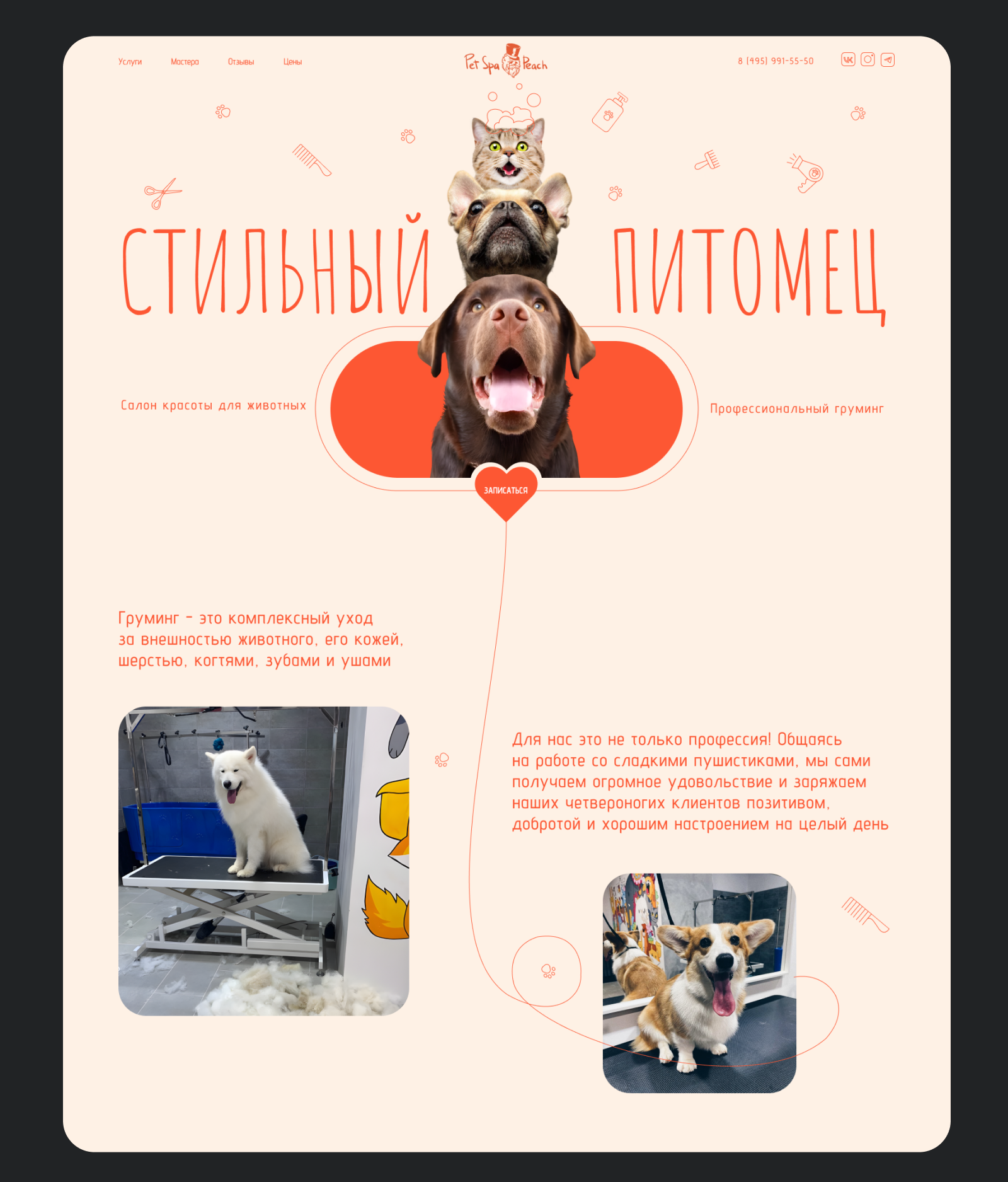 Редизайн сайта груминг-салона — Изображение №3 — Интерфейсы на Dprofile