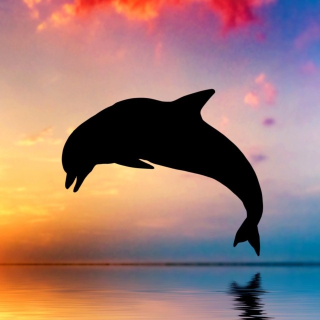 Аватар пользователя Алиса Design