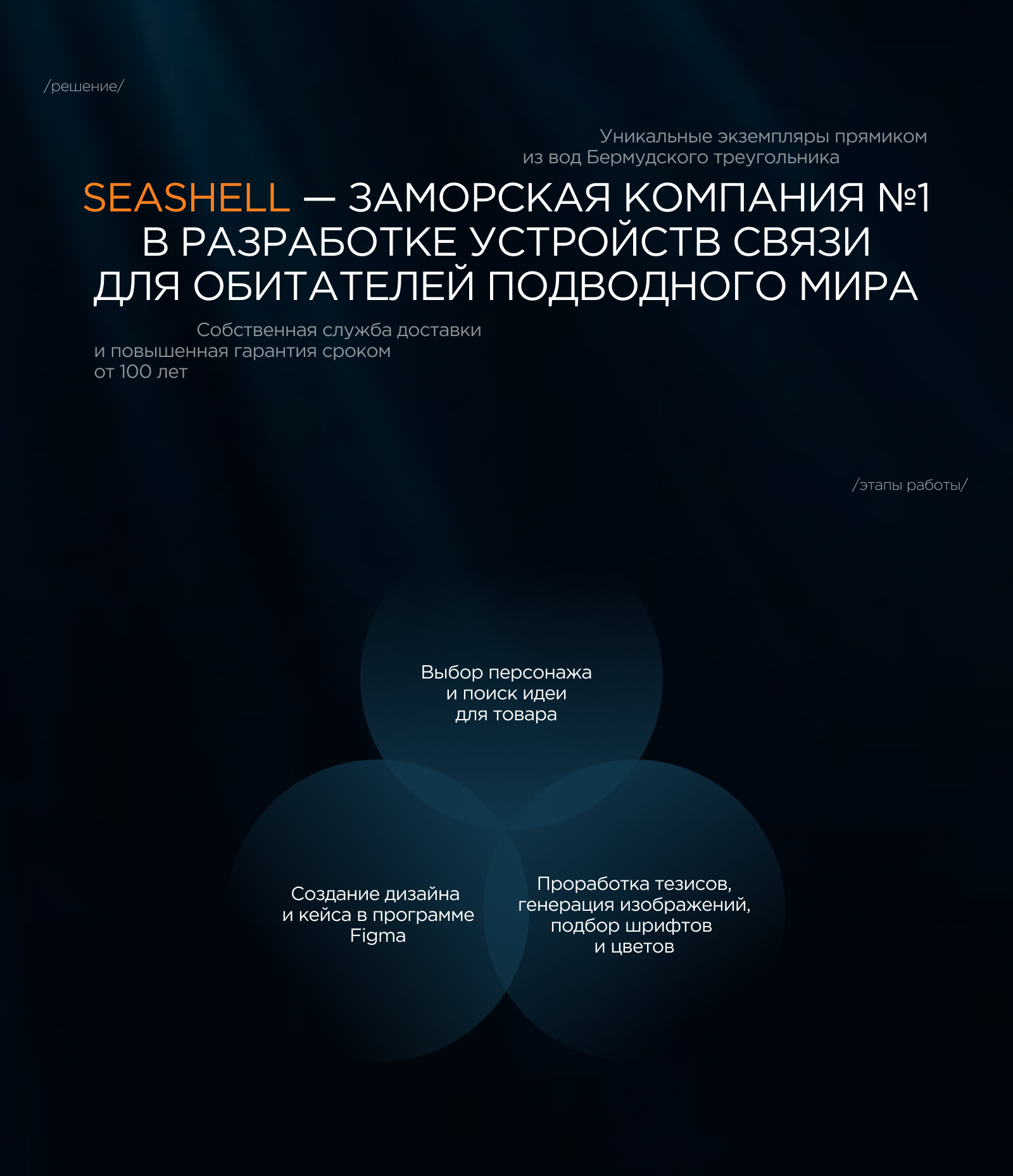 Seashell х Лукоморье 2024 — Изображение №3 — Маркетинг на Dprofile
