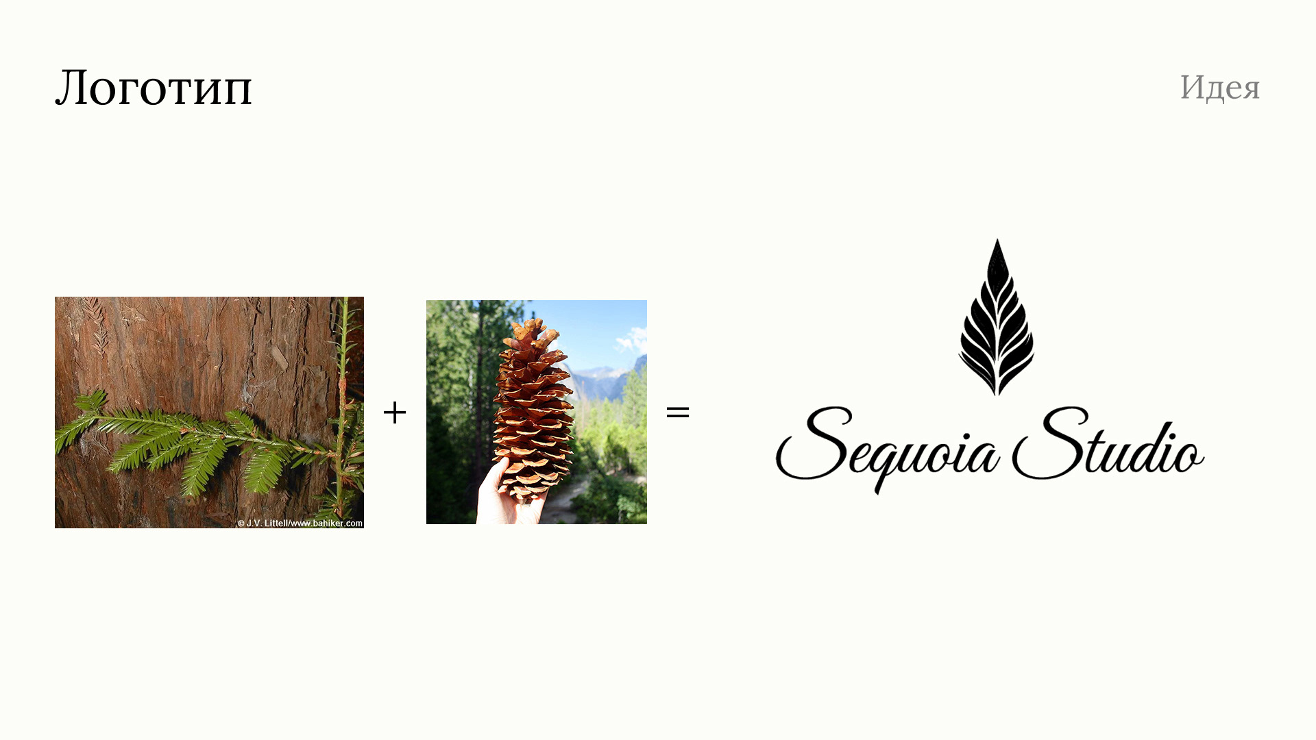 Разработка фирменного стиля для Sequoia studio — Изображение №7 — Брендинг на Dprofile