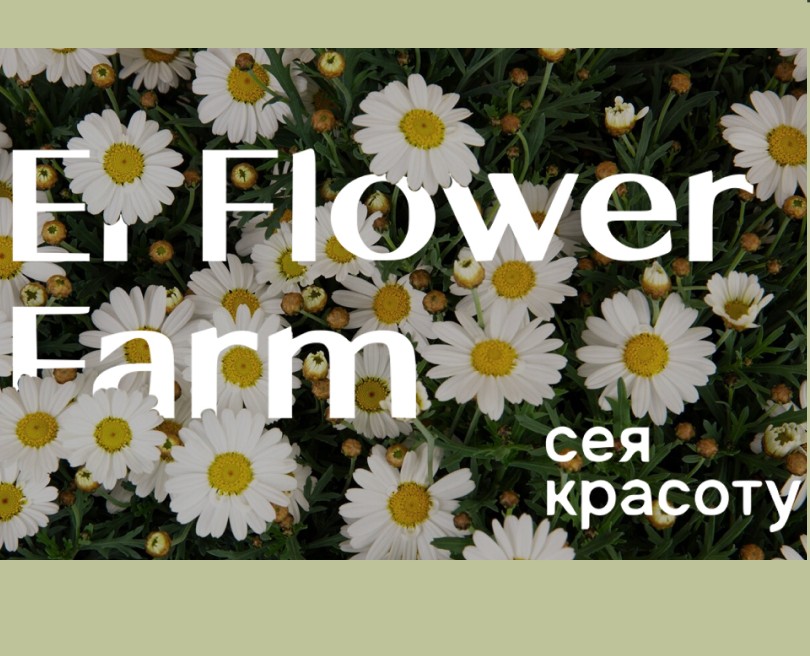 Статичные банеры для El Flower Farm — Графика, Маркетинг на Dprofile