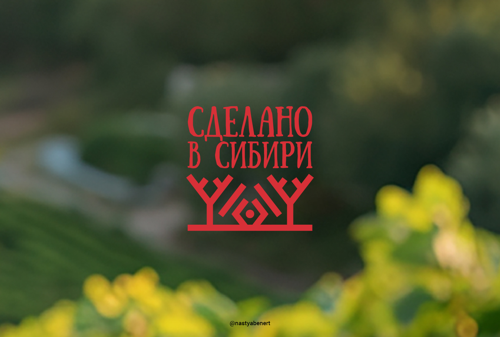 Знак Местного Производителя — Изображение №3 — Брендинг, Графика на Dprofile
