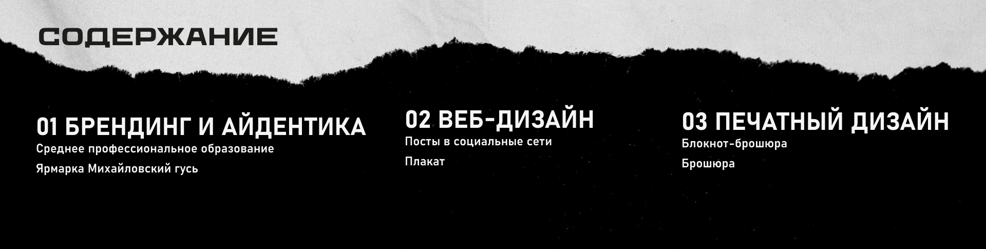 Портфолио. Хрущева Анастасия — Изображение №3 — Брендинг, Графика на Dprofile