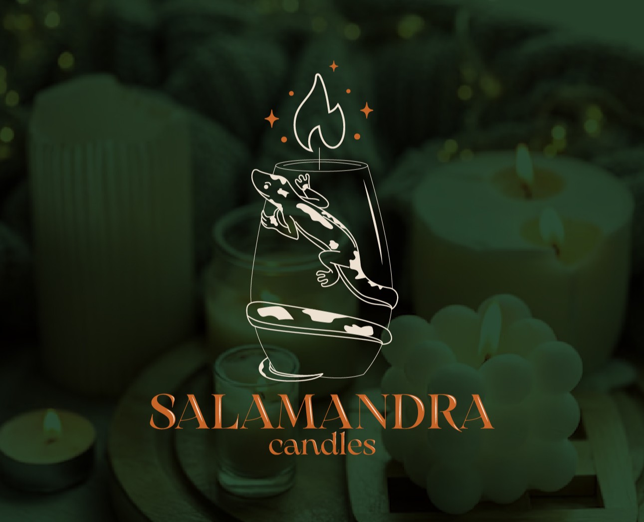 SALAMANDRA — Брендинг на Dprofile