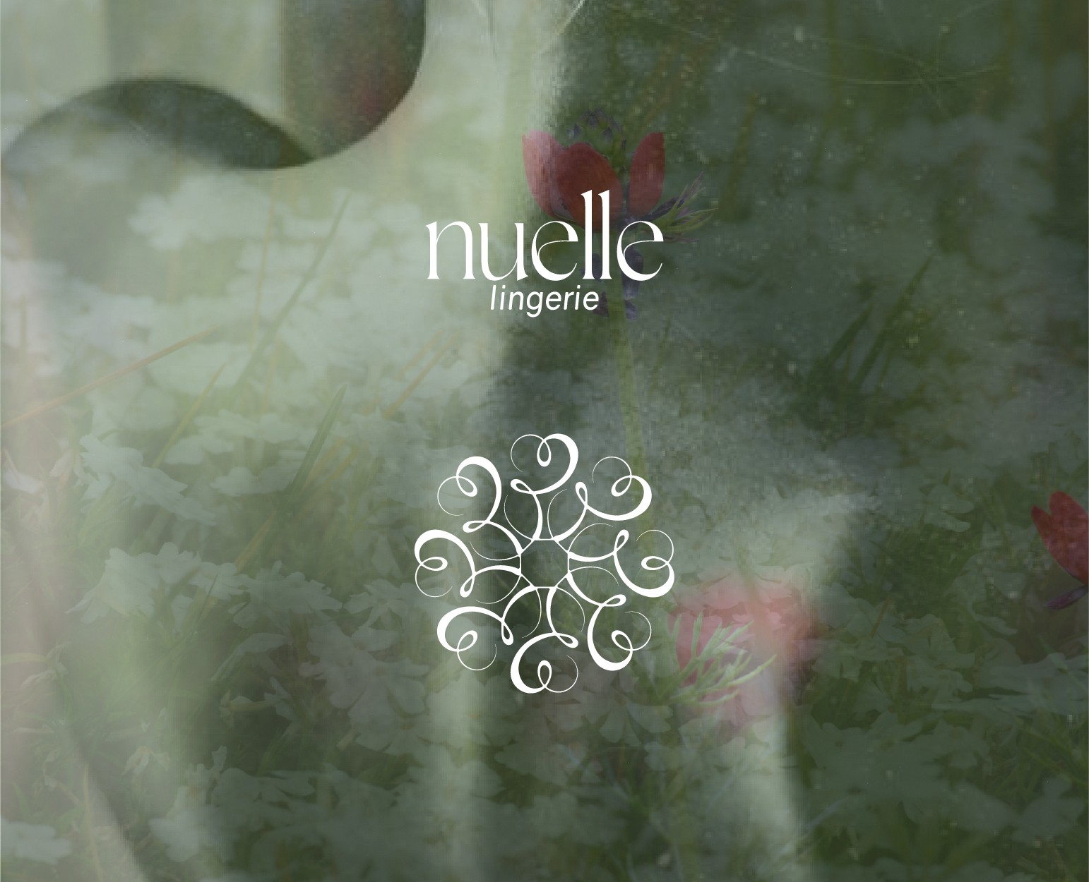 Project NuElle — Брендинг на Dprofile