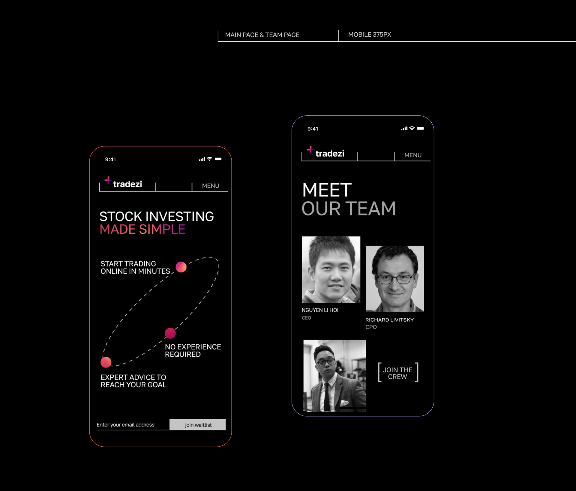 Tradezi: Webdesign & Brand Identity for FinTech Startup — Изображение №7 — Брендинг, Графика на Dprofile