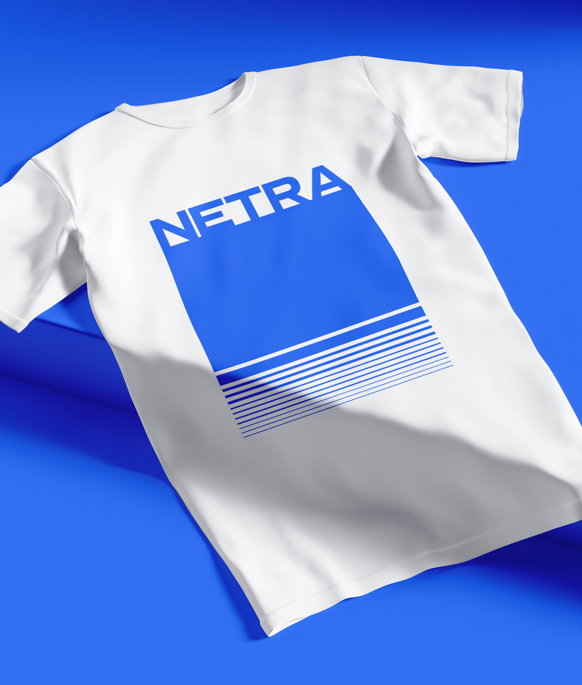 NETRA: Visual Identity & Website — Изображение №13 — Брендинг на Dprofile