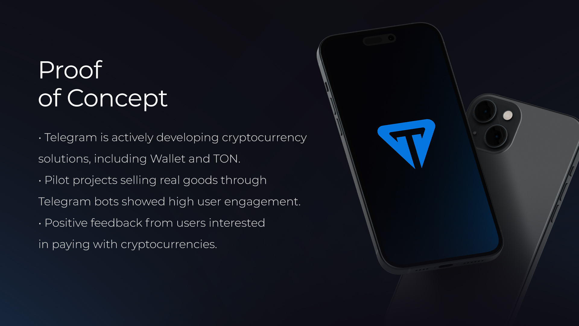 Питч-дек Triton — Изображение №3 — Интерфейсы, Брендинг на Dprofile