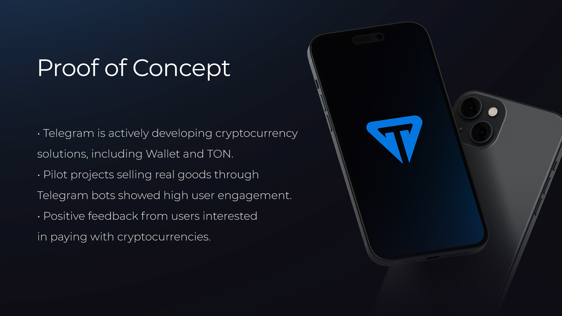Питч-дек Triton — Изображение №9 — Интерфейсы, Брендинг на Dprofile