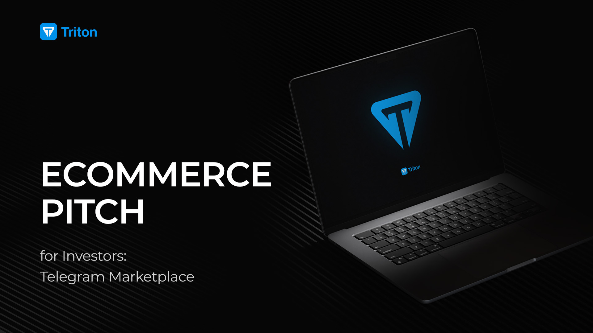 Питч-дек Triton — Изображение №1 — Интерфейсы, Брендинг на Dprofile