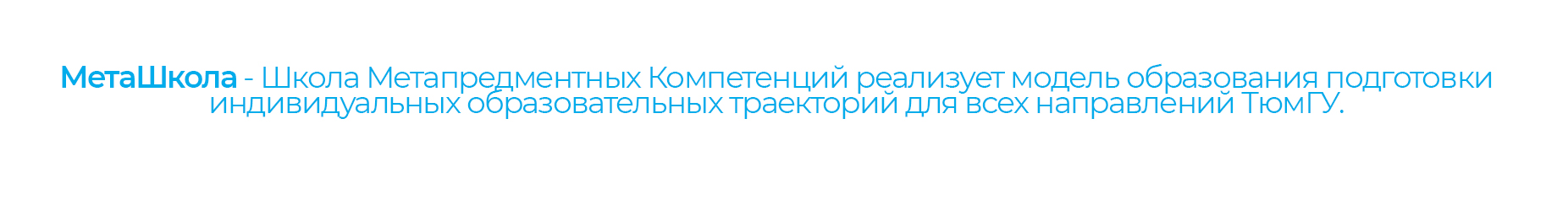 Логотип для Тюменской "МетаШколы" — Изображение №12 — Интерфейсы, Брендинг на Dprofile