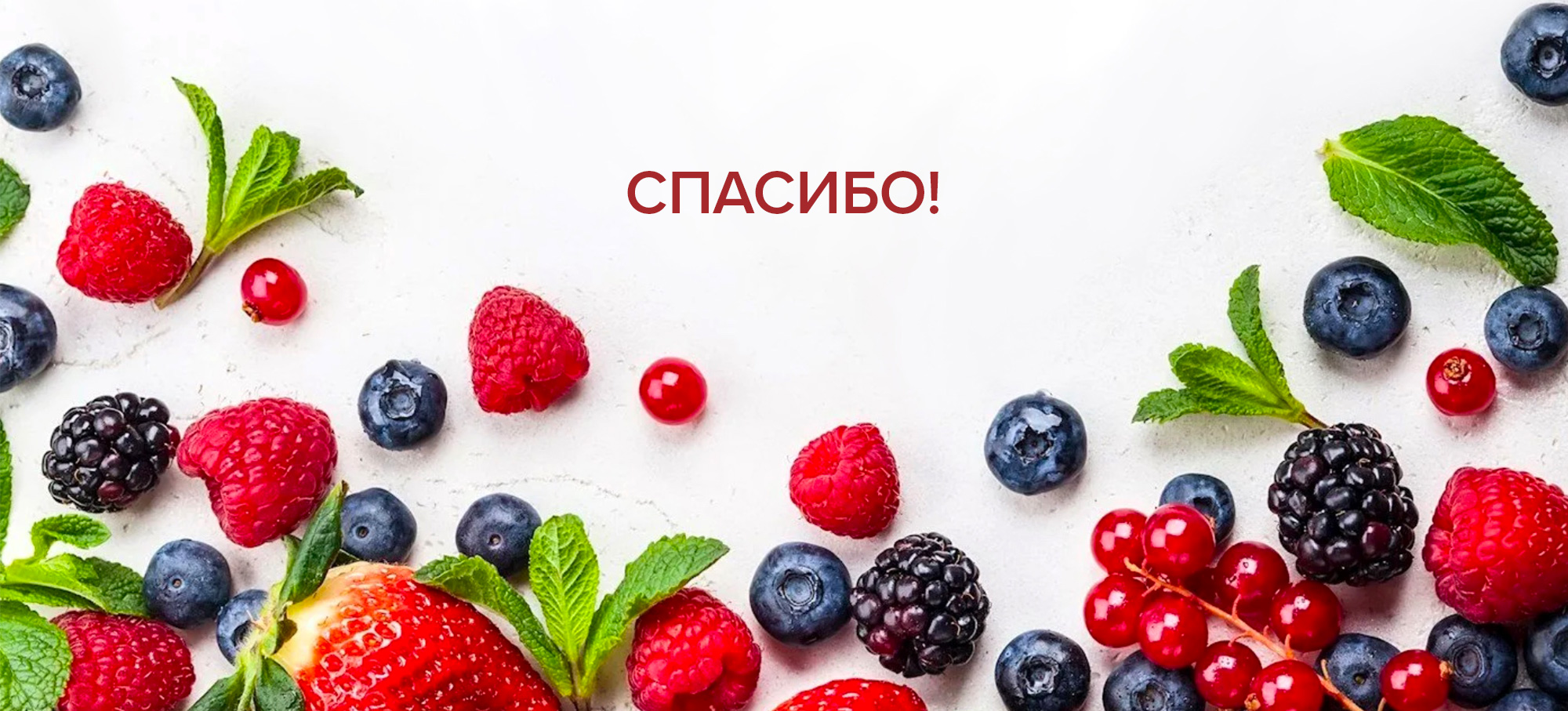 Дизайн упаковки для морсов ВкусВилл — Изображение №16 — Брендинг, Иллюстрация на Dprofile