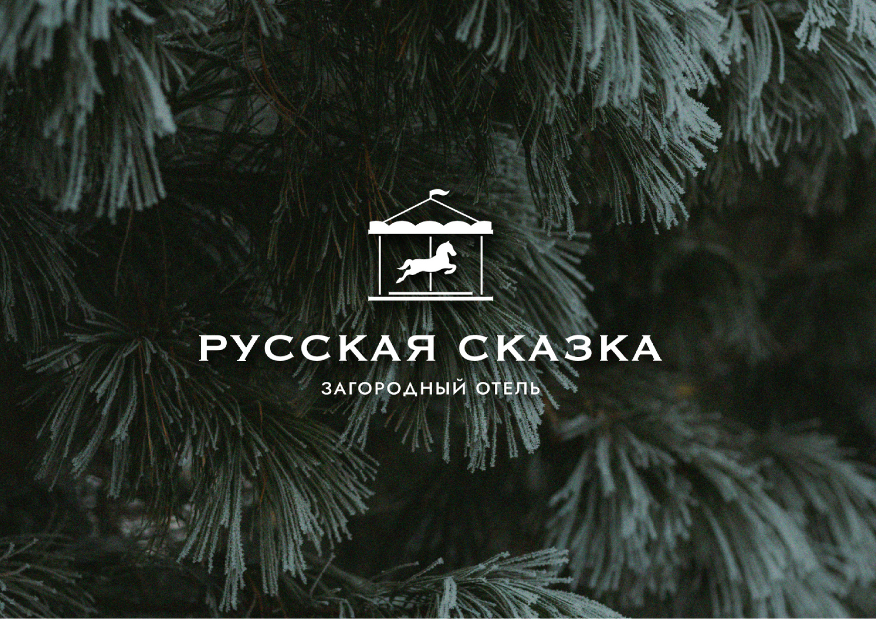 Фирменный стиль для отеля — Изображение №1 — Брендинг на Dprofile