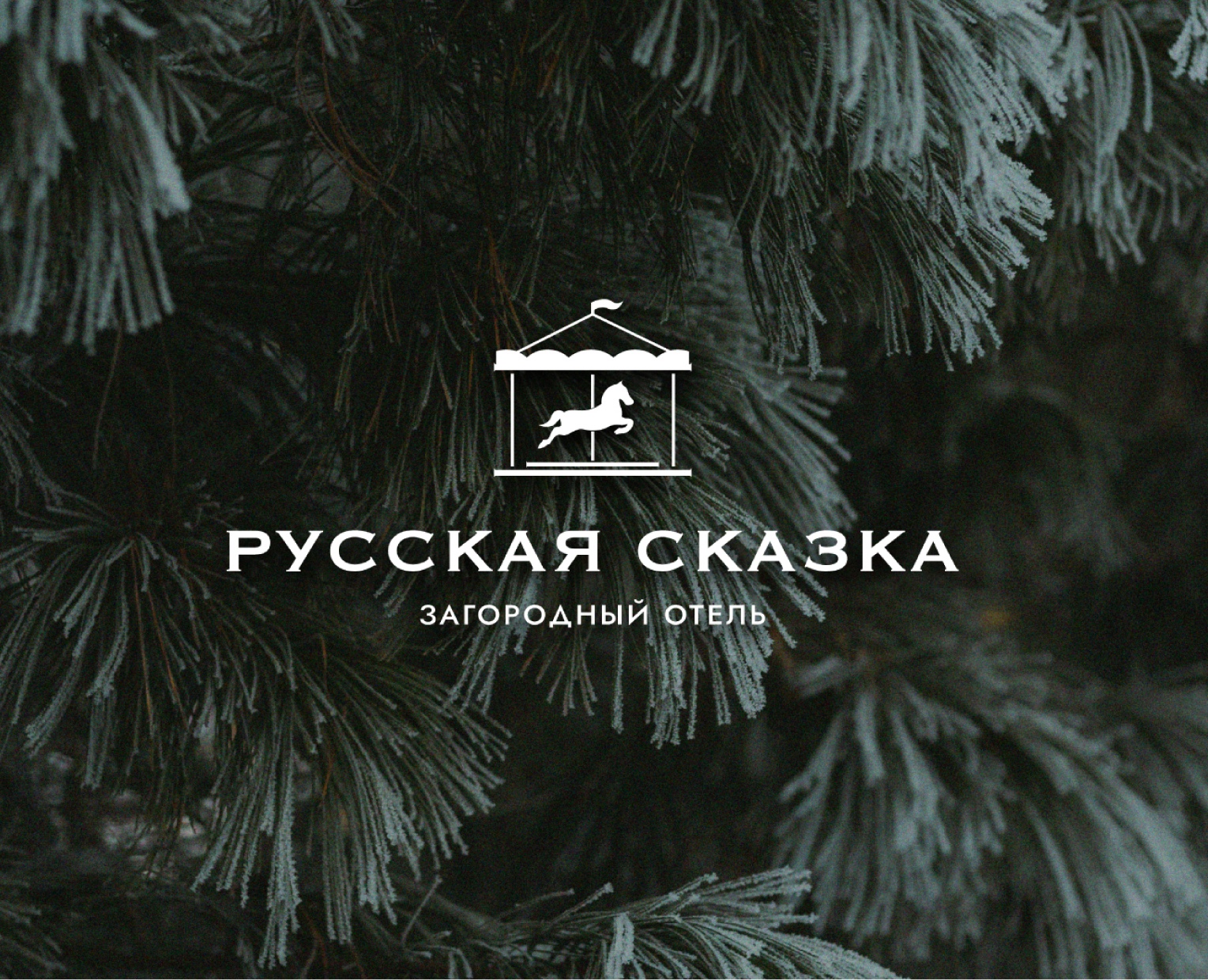 Фирменный стиль для отеля — Брендинг на Dprofile