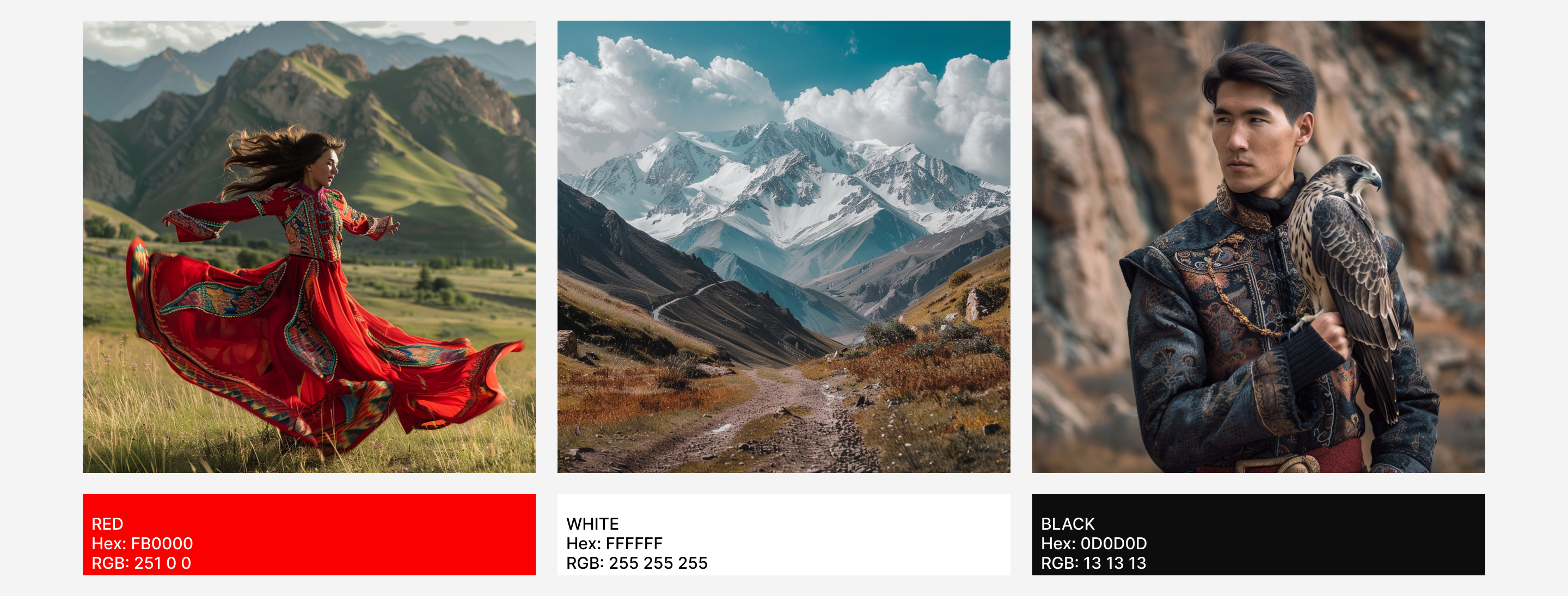 Сделано в Кыргызстане | Made in Kyrgyzstan | Сontest — Изображение №3 — Брендинг, Графика на Dprofile