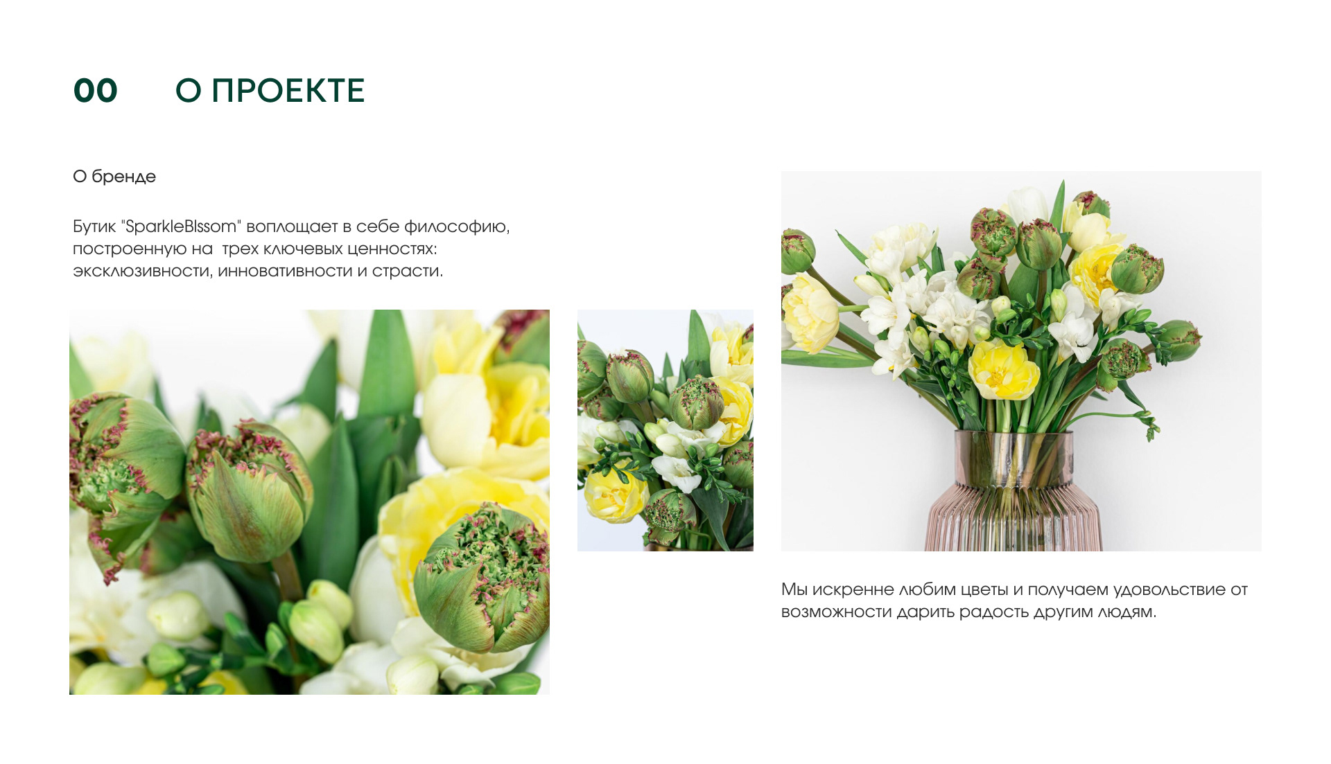 Flower shop Sparkleblossom — Изображение №1 — Интерфейсы, Маркетинг на Dprofile