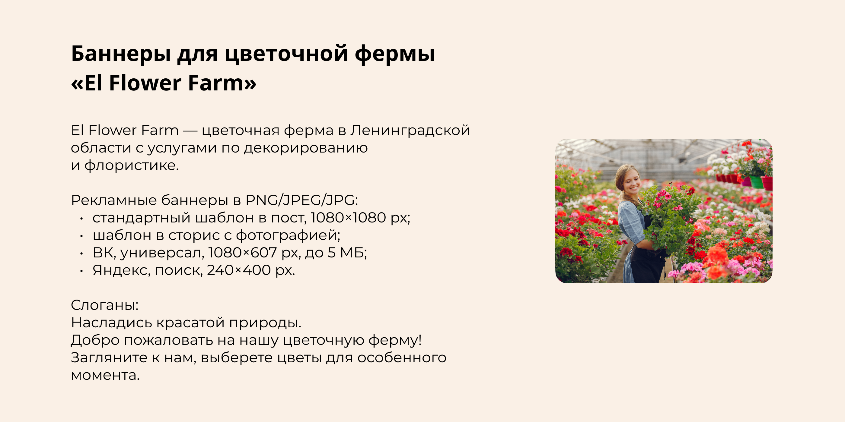 Баннеры Яндекса и ВК для фермы цветов «El Flower Farm» — Изображение №1 — Брендинг, Маркетинг на Dprofile