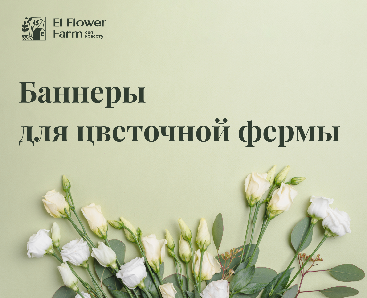Баннеры Яндекса и ВК для фермы цветов «El Flower Farm» — Брендинг, Маркетинг на Dprofile