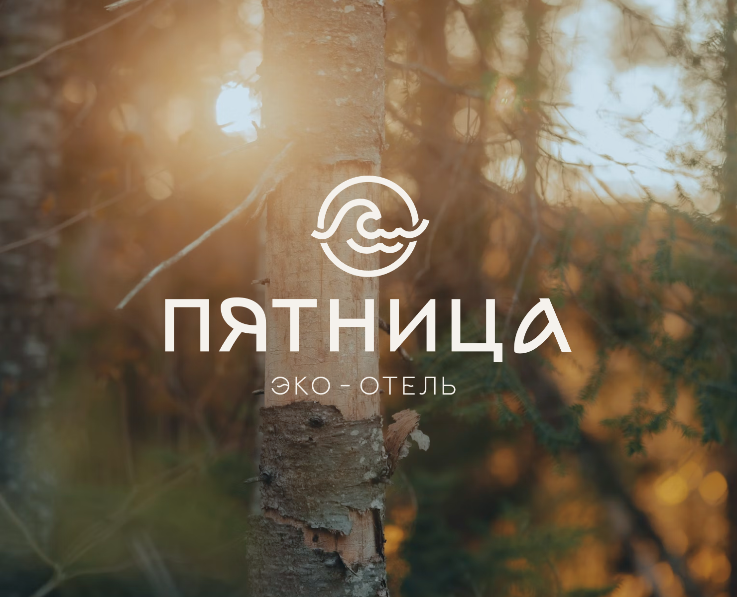 ГЛЭМПИНГ ПЯТНИЦА | ФИРМЕННЫЙ СТИЛЬ | GLAMPING BRANDING — Брендинг на Dprofile