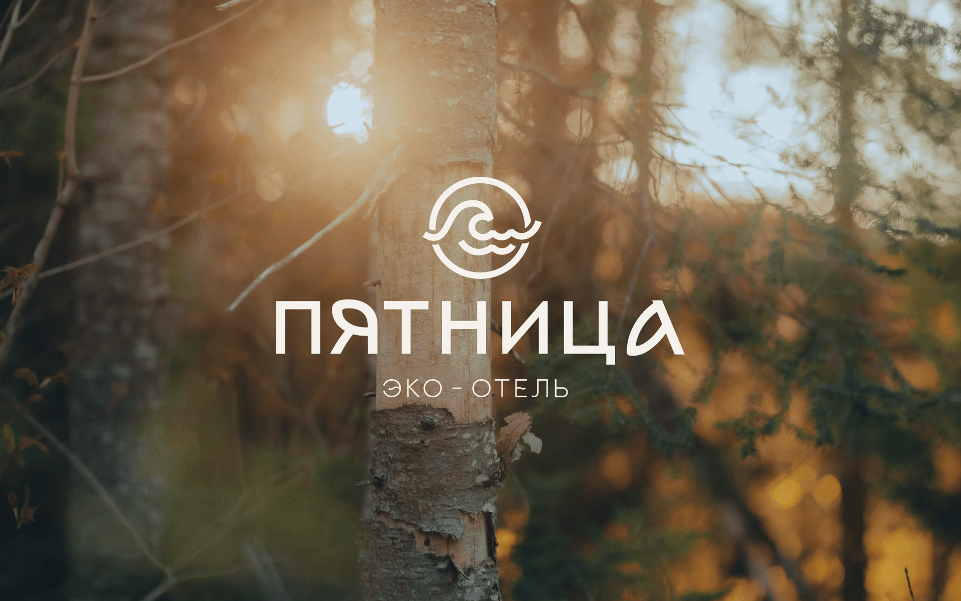 ГЛЭМПИНГ ПЯТНИЦА | ФИРМЕННЫЙ СТИЛЬ | GLAMPING BRANDING — Изображение №1 — Брендинг на Dprofile