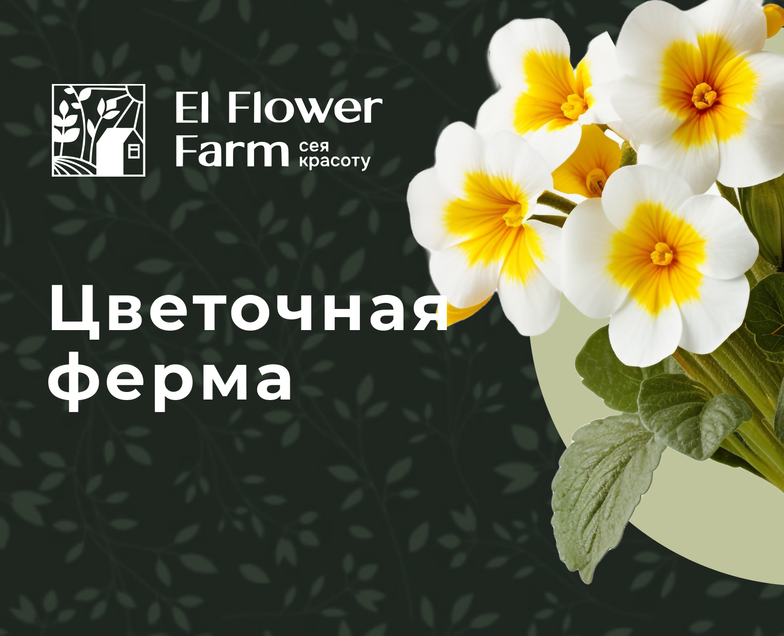 Рекламные баннеры для соцсетей — Интерфейсы, Брендинг на Dprofile