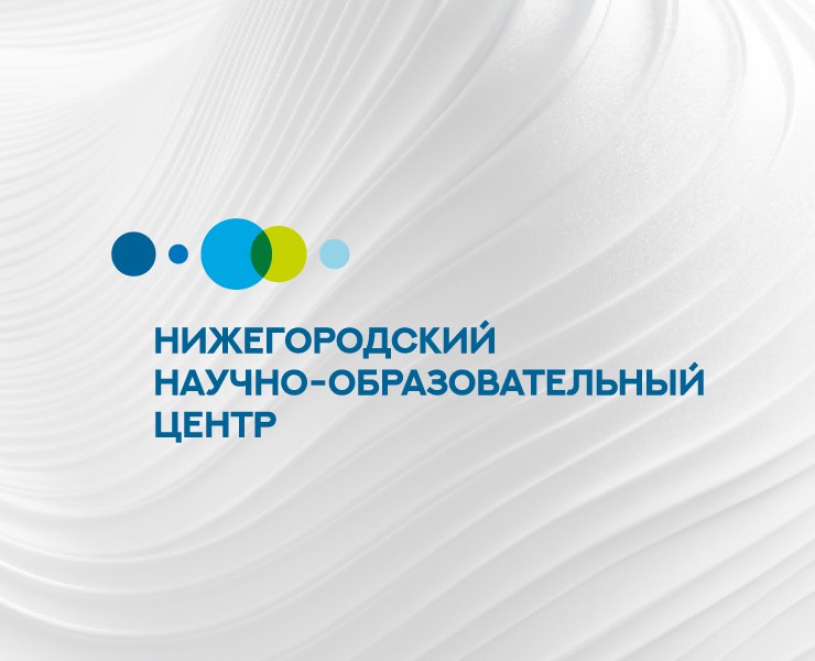 Нижегородский НОЦ — Брендинг на Dprofile