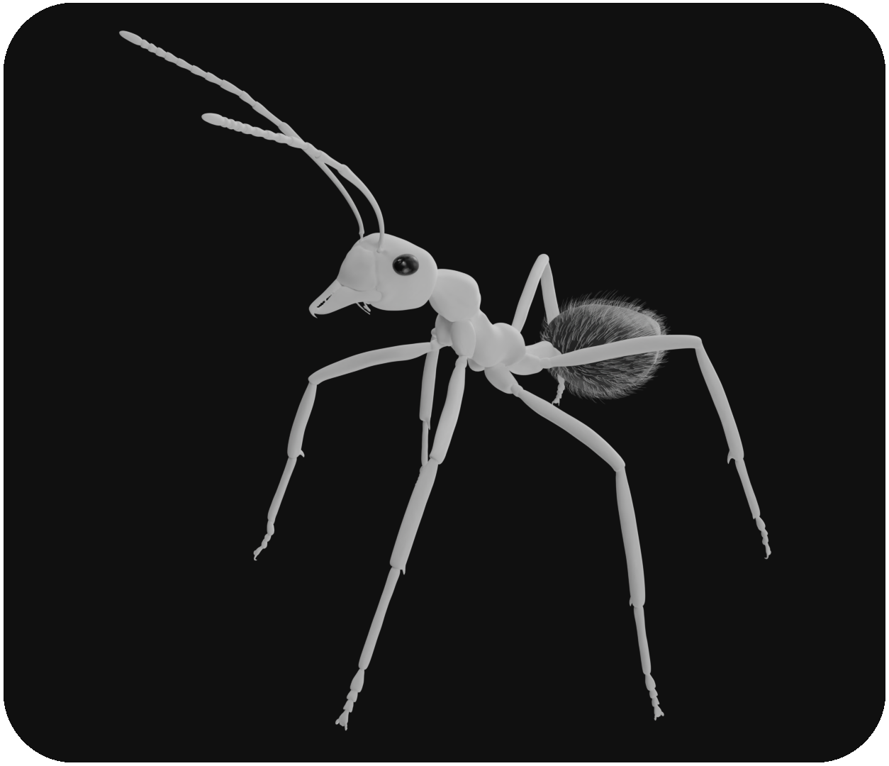 Концепт Hydrophylla birmana — Изображение №5 — Иллюстрация, 3D на Dprofile
