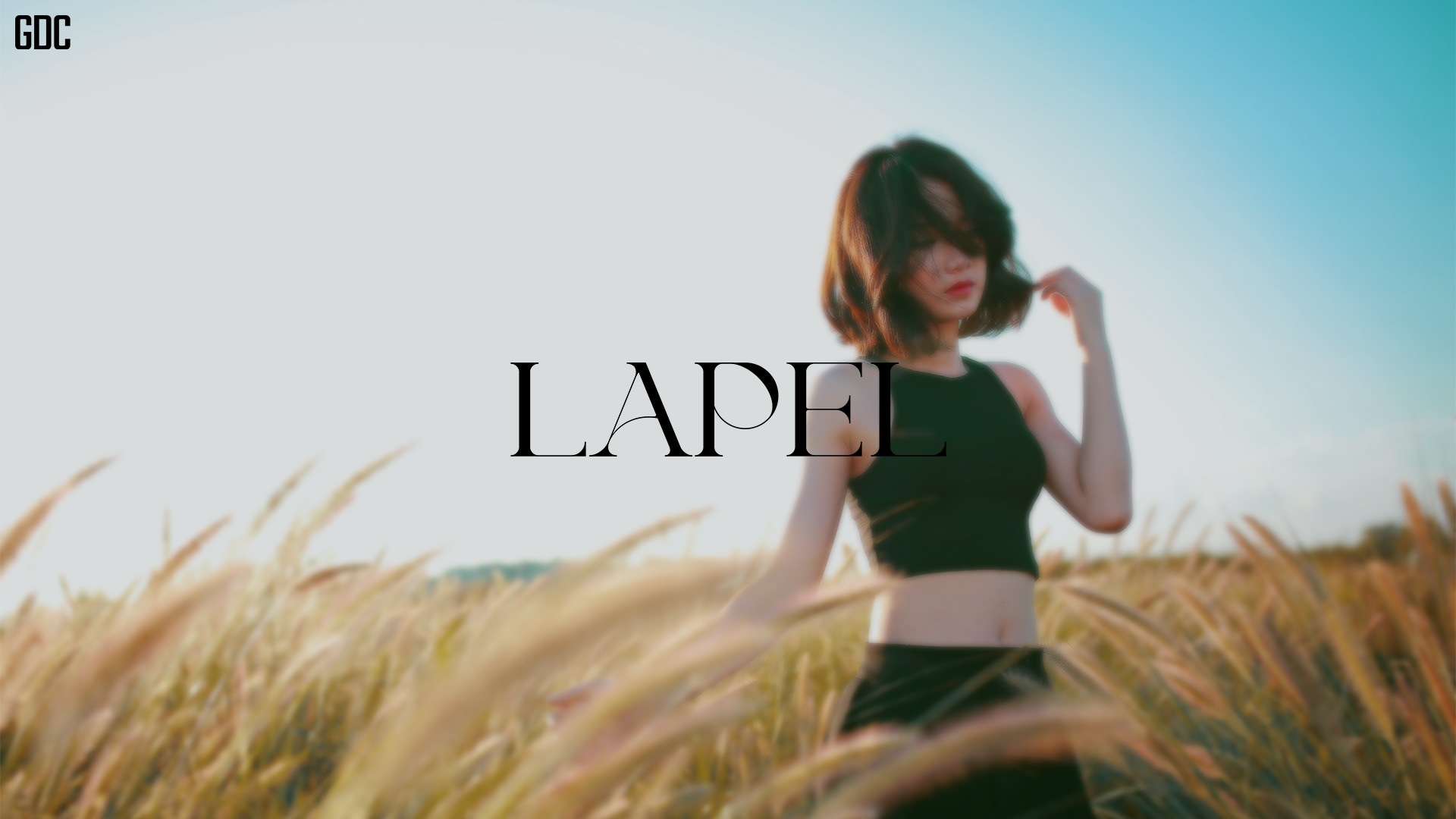 Lapel | Graphic design | Women's clothes — Изображение №1 — Брендинг на Dprofile