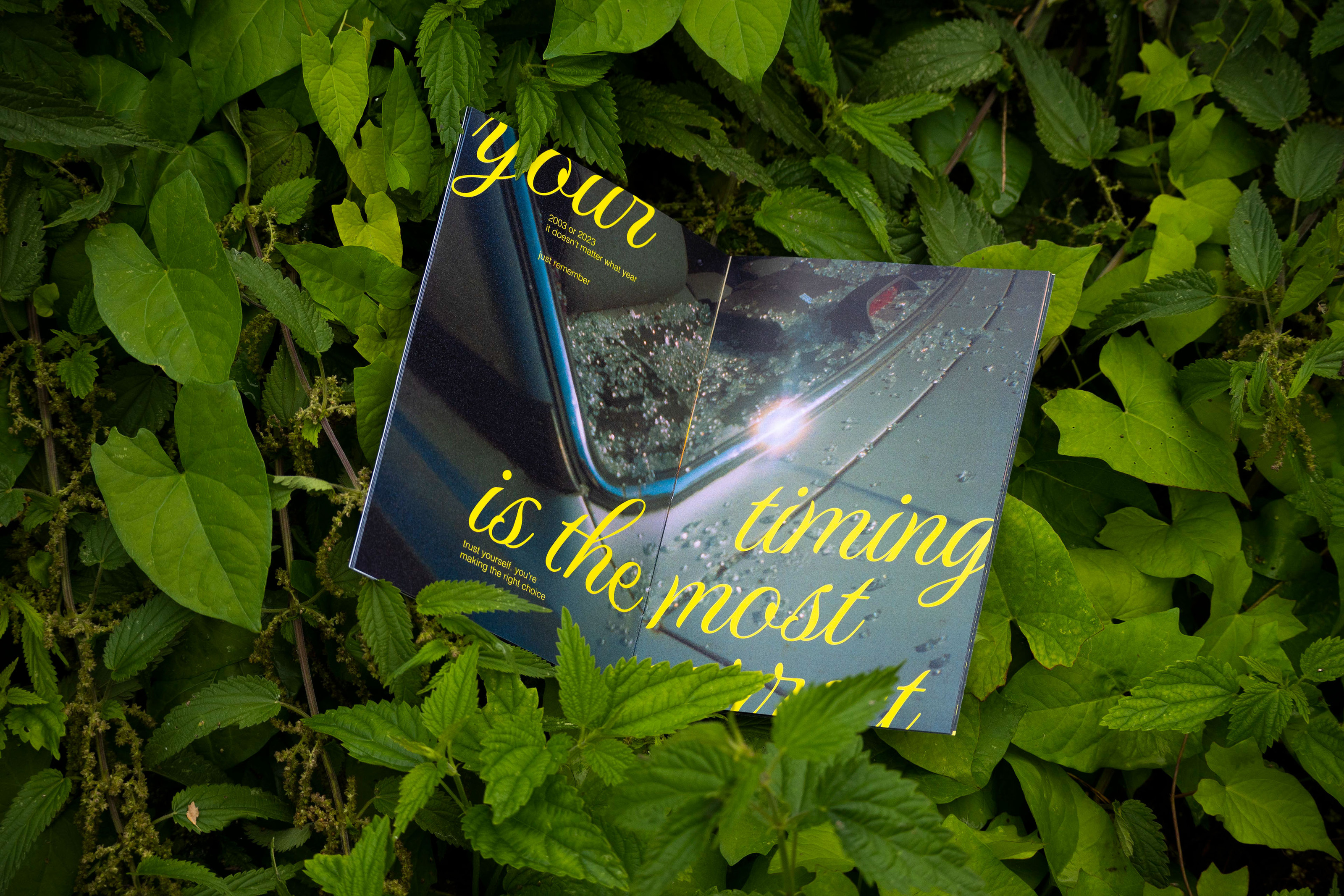 Summer zine «The right place» — Изображение №1 — Графика на Dprofile