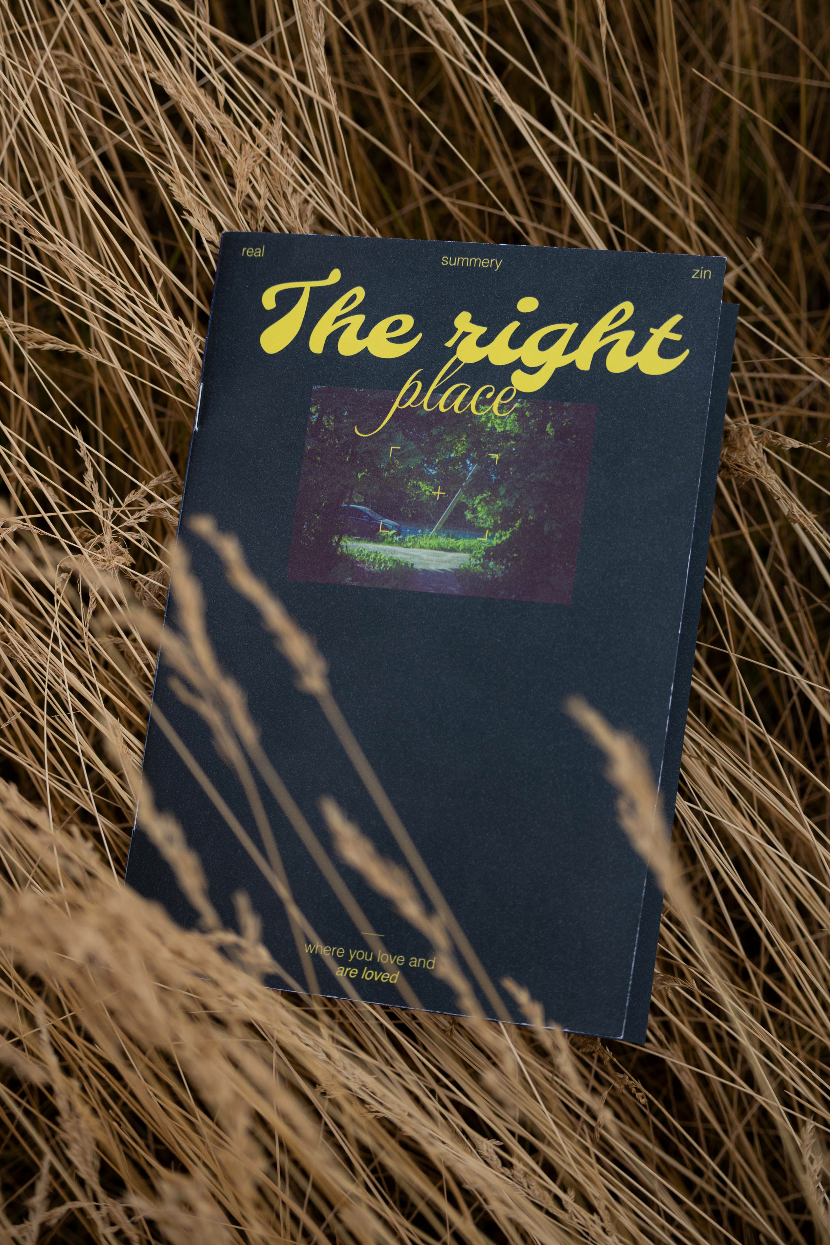 Summer zine «The right place» — Изображение №3 — Графика на Dprofile
