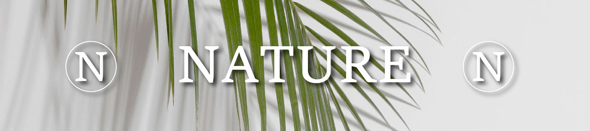 NATURE — Изображение №4 — Брендинг, Маркетинг на Dprofile